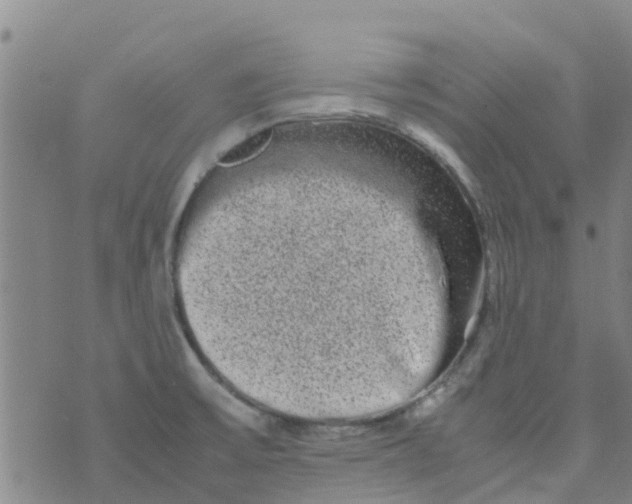 X0000074291475200609151904