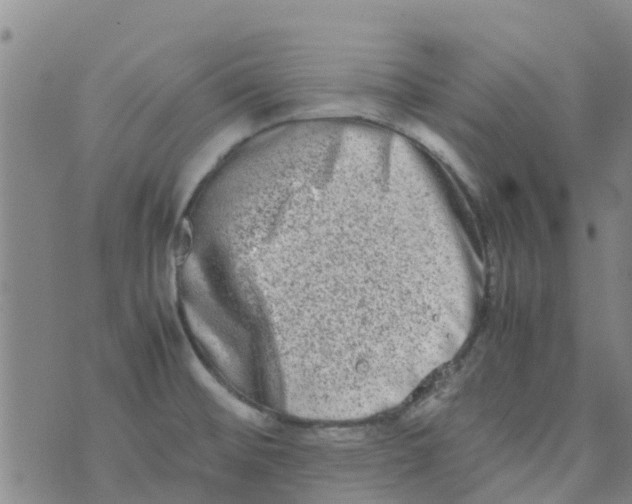 X0000074291476200609151904