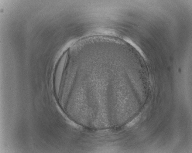 X0000074291477200609151904