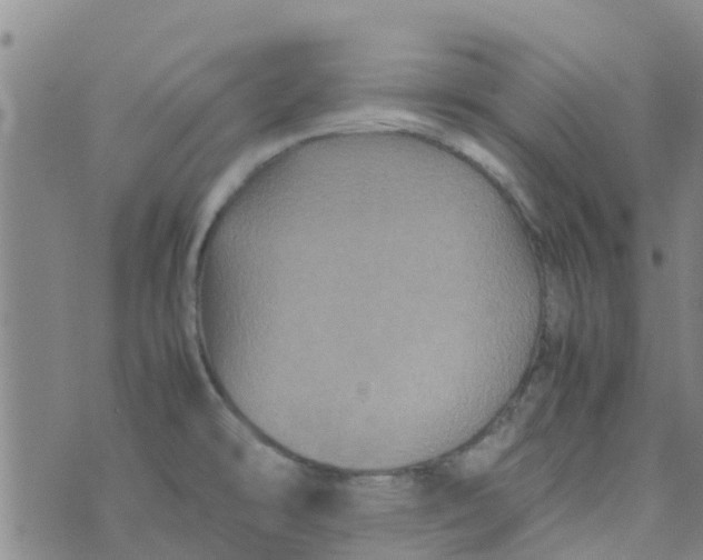 X0000074291478200609151904