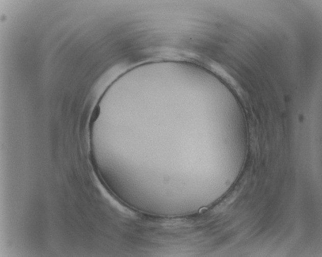 X0000074291479200609151904