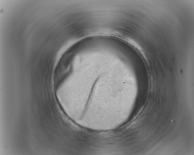 X0000074291480200609151904