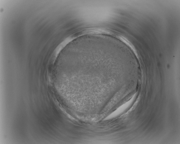 X0000074291481200609151904