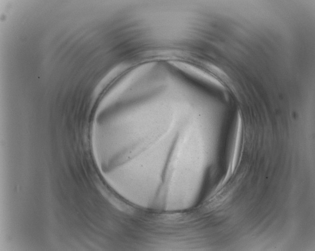 X0000074291482200609151904