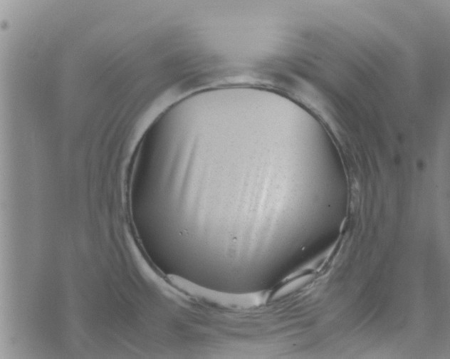 X0000074291483200609151904