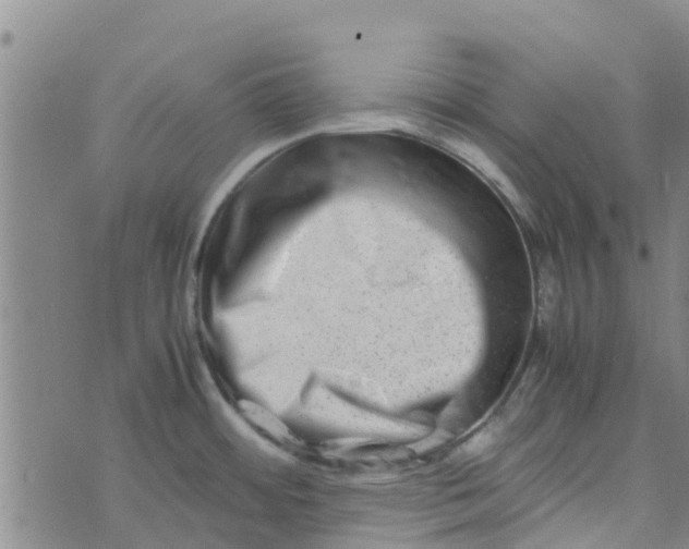 X0000074291484200609151904