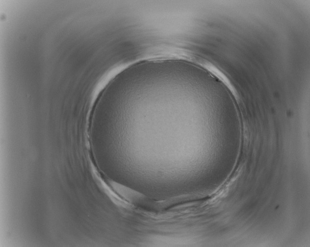 X0000074291485200609151904