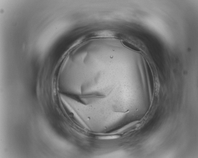 X0000074291487200609151904