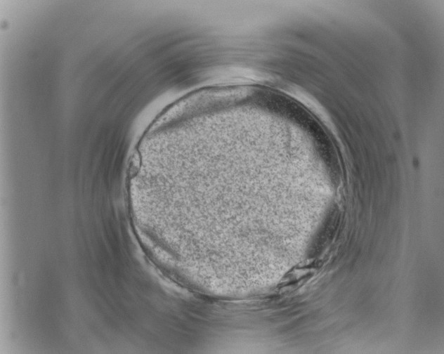 X0000074291488200609151904