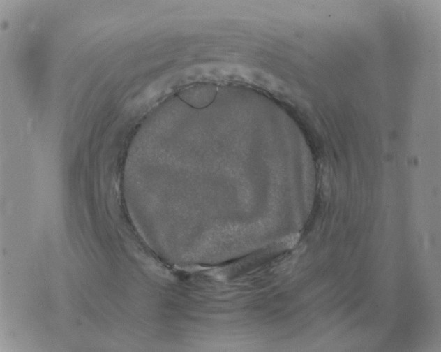 X0000074291489200609151903