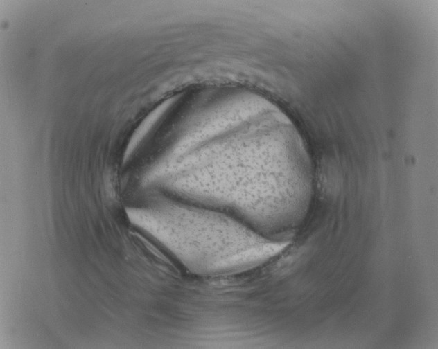 X0000074291490200609151903