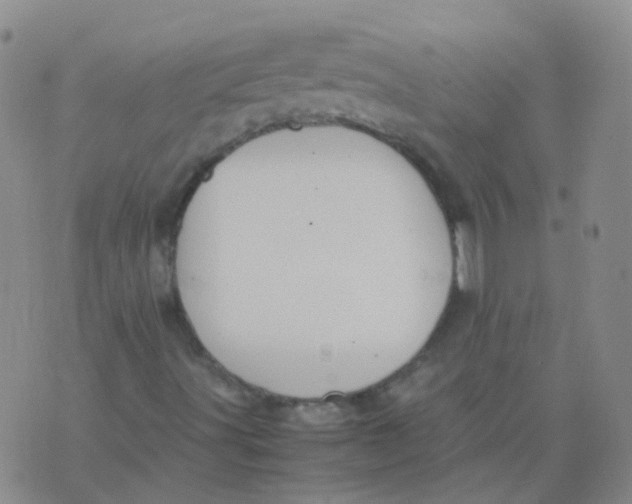 X0000074291491200609151903