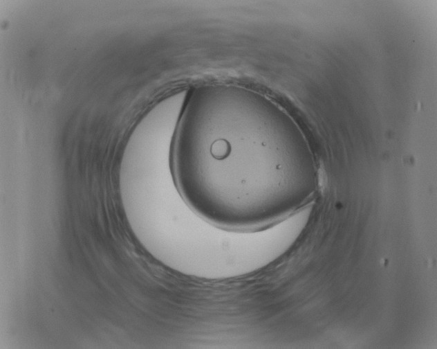 X0000074291492200609151903