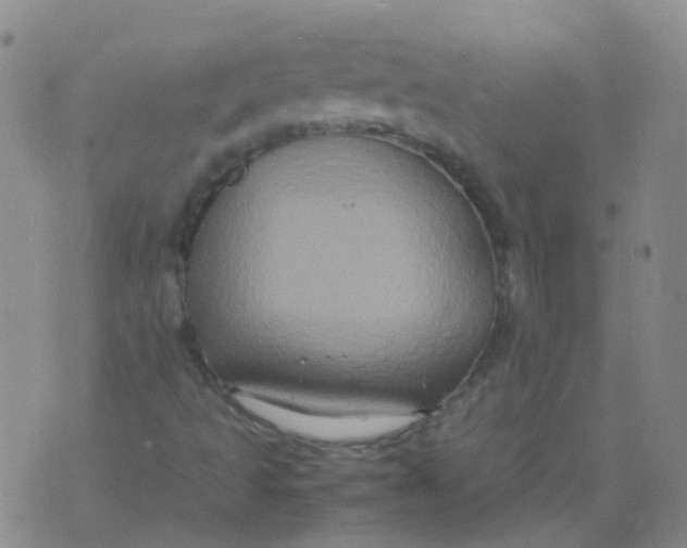 X0000074291493200609151903