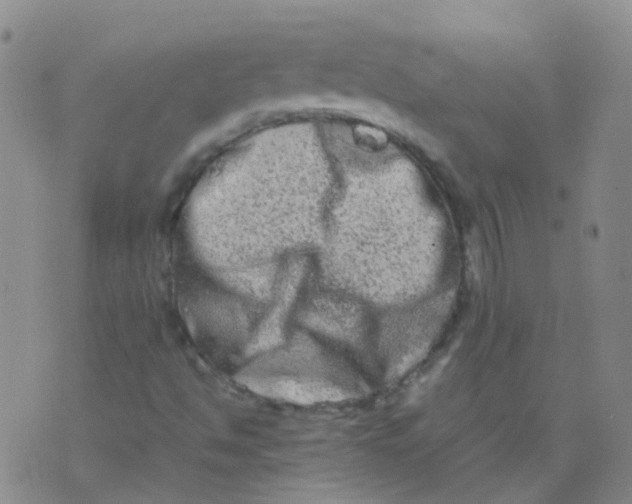 X0000074291494200609151903