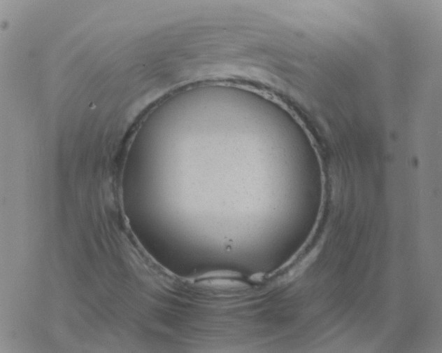 X0000074291497200609151903