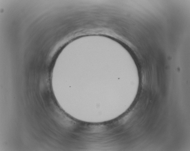 X0000074291498200609151903