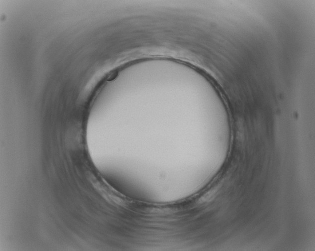 X0000074291499200609151904