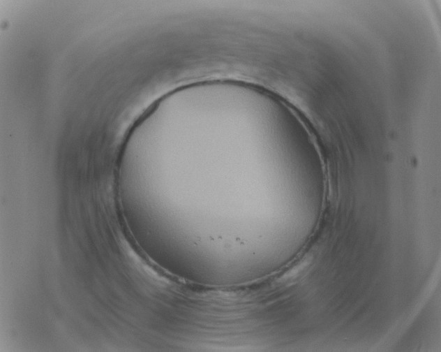 X0000074291500200609151904