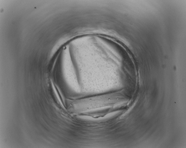 X0000074291501200609151904