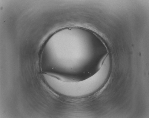 X0000074291502200609151904