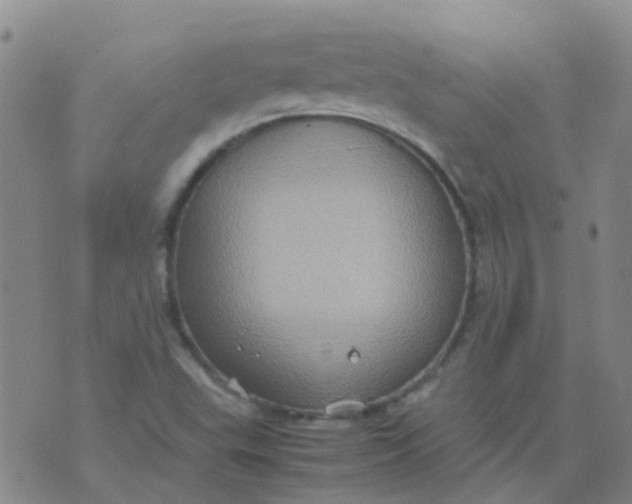 X0000074291503200609151904