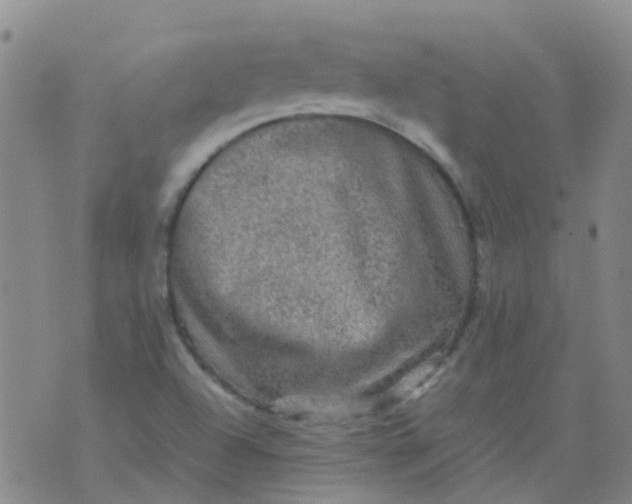 X0000074291504200609151904