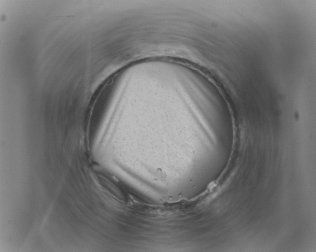 X0000074291505200609151904