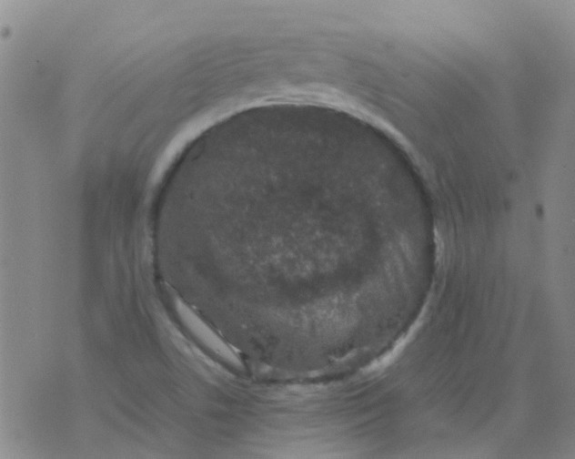 X0000074291506200609151904