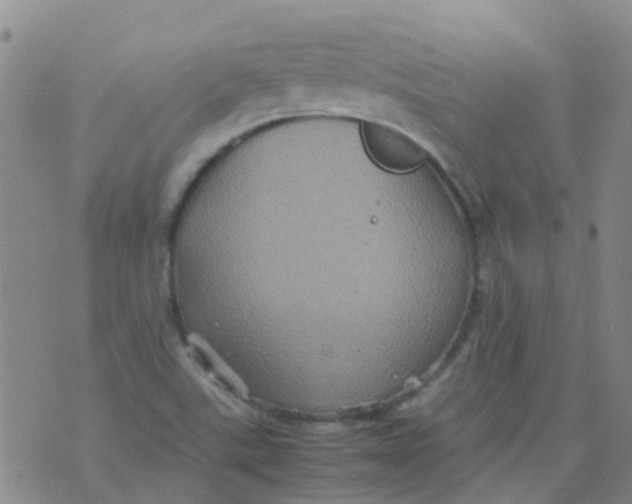 X0000074291507200609151904