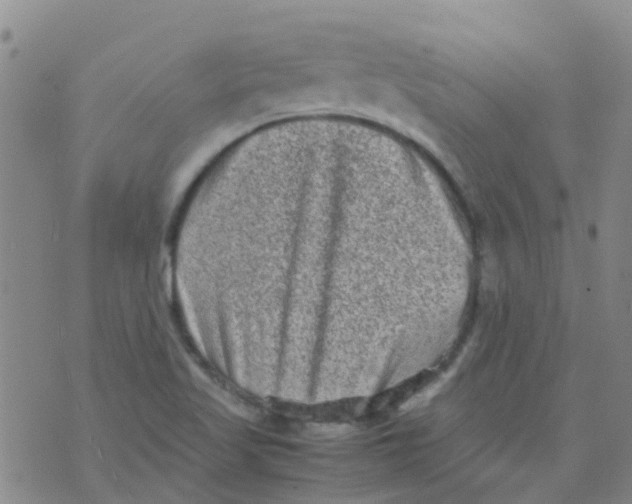 X0000074291509200609151904