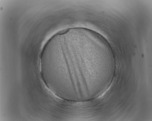 X0000074291510200609151904