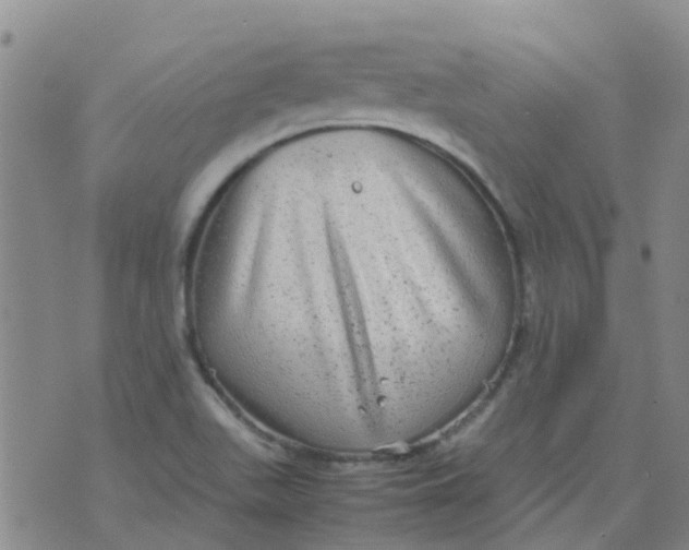 X0000074291511200609151904