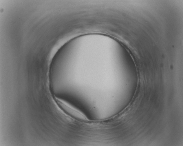 X0000074291512200609151904