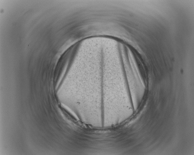 X0000074291513200609151904