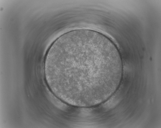 X0000074291514200609151904