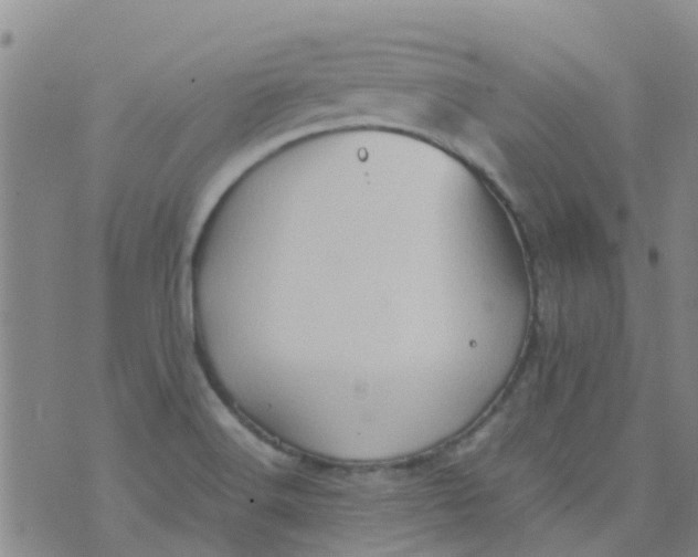 X0000074291516200609151904