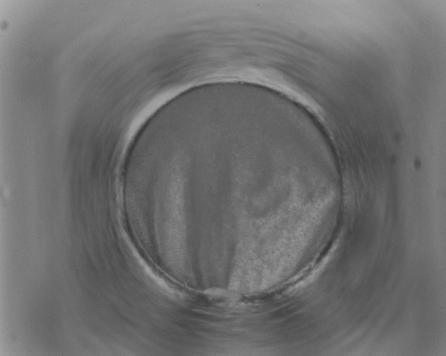 X0000074291517200609151904