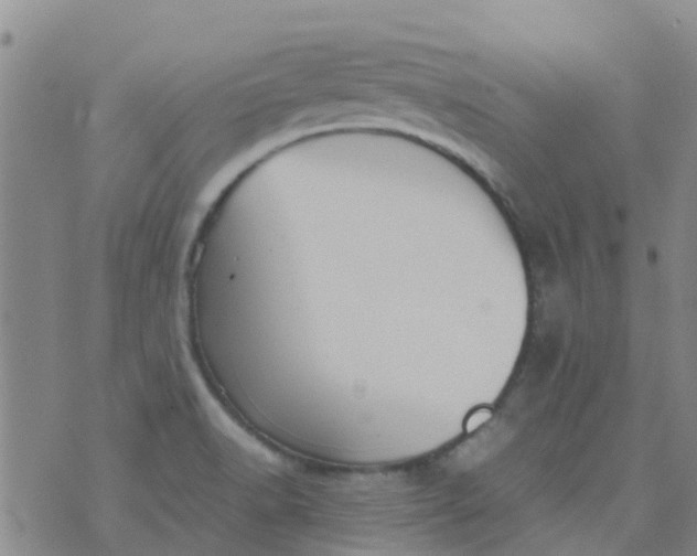 X0000074291518200609151904