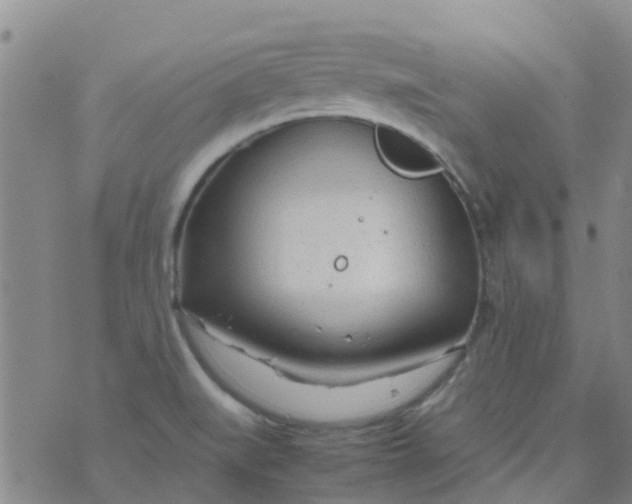 X0000074291519200609151904