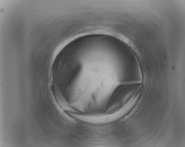 X0000074291520200609151904