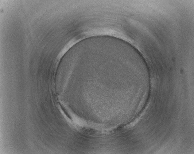 X0000074291521200609151904