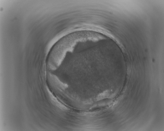 X0000074291522200609151904