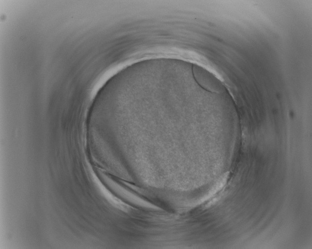 X0000074291523200609151904