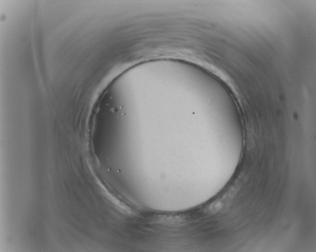 X0000074291525200609151904