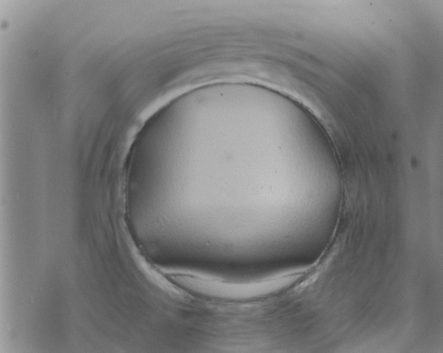 X0000074291526200609151904