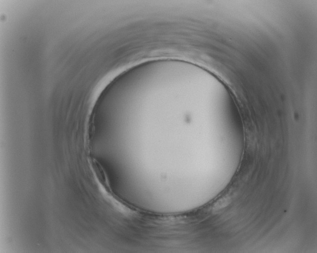 X0000074291527200609151904