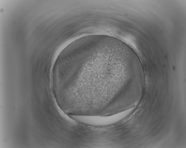 X0000074291528200609151904