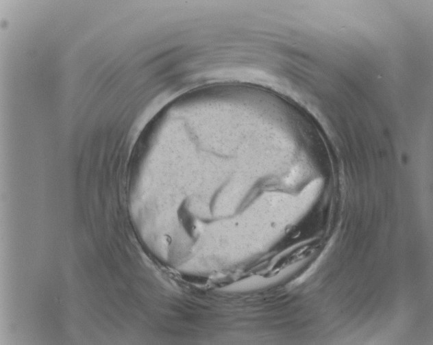 X0000074291529200609151904