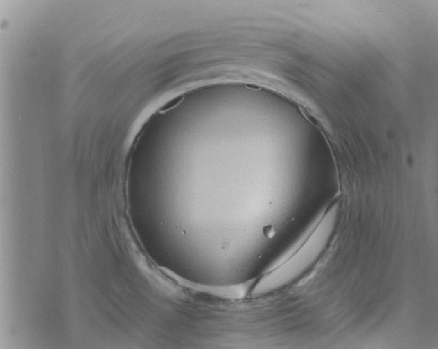 X0000074291530200609151904